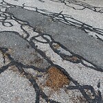 Pothole at 18 Cramond Rd, Chestnut Hill