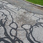 Pothole at 18 Cramond Rd, Chestnut Hill