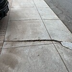 Sidewalk Repair at 26 Francis St