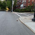 Other at 1101 Beacon St