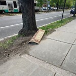 Trash/Recycling at 1895–1917 Beacon St