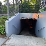 Graffiti at Clinton Path