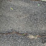 Sidewalk Repair at 66 Gibbs St
