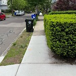 Sidewalk Obstruction at 136 Coolidge St