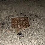 Pothole at 31 Pleasant St