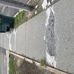 Sidewalk Repair at 17 James St