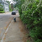 Sidewalk Obstruction at 29 Oakland Rd