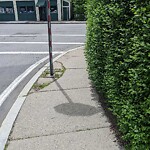 Sidewalk Obstruction at 209 High St