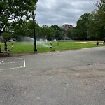 Water and Sewer at 81–99 Newell Rd