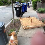 Trash/Recycling at 71 Francis St