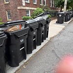 Trash/Recycling at 47 Alton Pl
