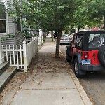 Public Trees at 19 Roberts St