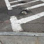 Pothole at 1319 Beacon St