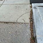 Sidewalk Repair at 24 Littell Rd