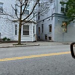 Public Trees at 15 Aspinwall Ave