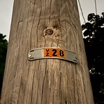 Streetlight at 240 Wolcott Rd, Chestnut Hill