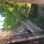 Trash/Recycling at 2–32 Pleasant St, Brookline 02446