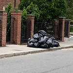 Trash/Recycling at 7 Still St