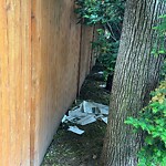 Trash/Recycling at 41 Centre St