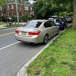 Parking Issues at 95 Babcock St