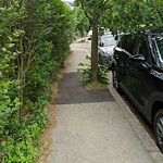 Public Trees at 73 Highland Rd