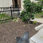 Recycling at 45–73 Pleasant St