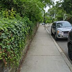 Sidewalk Obstruction at 110 Walnut St