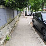 Sidewalk Obstruction at 166 Walnut St