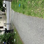 Trash/Recycling at Lawton Playground, 125 Lawton St, Brookline 02446