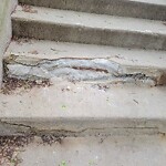 Sidewalk Repair at 20 Winthrop Rd