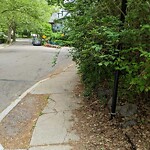 Sidewalk Obstruction at 29 Oakland Rd