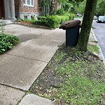 Trash/Recycling at 319 Saint Paul St