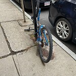 Abandoned Bike at 11 Babcock St