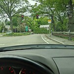 Traffic Signal at 83 Lee St