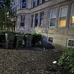 Trash/Recycling at 182 Saint Paul St