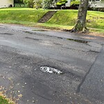Pothole at 176 Fairway Rd, Chestnut Hill