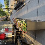 Sidewalk Obstruction at 1335 Beacon St