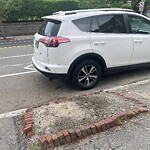 Public Trees at 453 Washington St