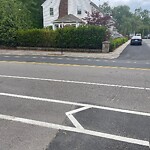 Public Trees at 419 Washington St