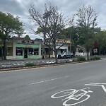 Public Trees at Cypress St
