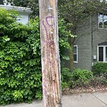 Graffiti at 240 Aspinwall Ave