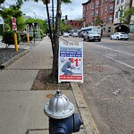 Public Trees at 171 A Harvard St
