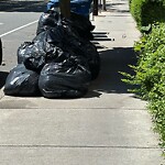 Trash/Recycling at 81 Winchester St