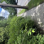 Sidewalk Obstruction at 45/49 Warren St