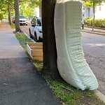 Trash/Recycling at 8 Fairbanks St
