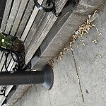 Trash/Recycling at 2 Harvard St