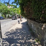Sidewalk Obstruction at 222 Cypress St