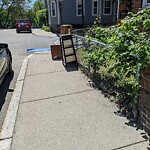 Trash/Recycling at 55 Franklin St