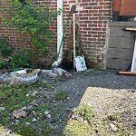 Trash/Recycling at 42.332N 71.119W