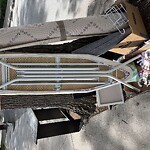 Trash/Recycling at 46 Harvard Ave